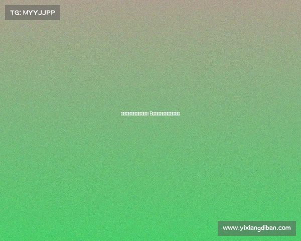 阿莫林:我喜欢看着球迷 B费不会连续两轮罚丢进球